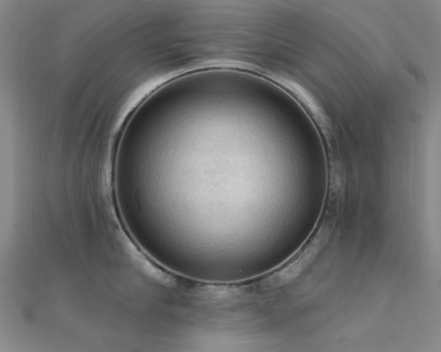 X0000112350910200908131426