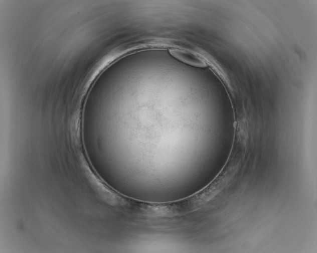 X0000112350911200908131426