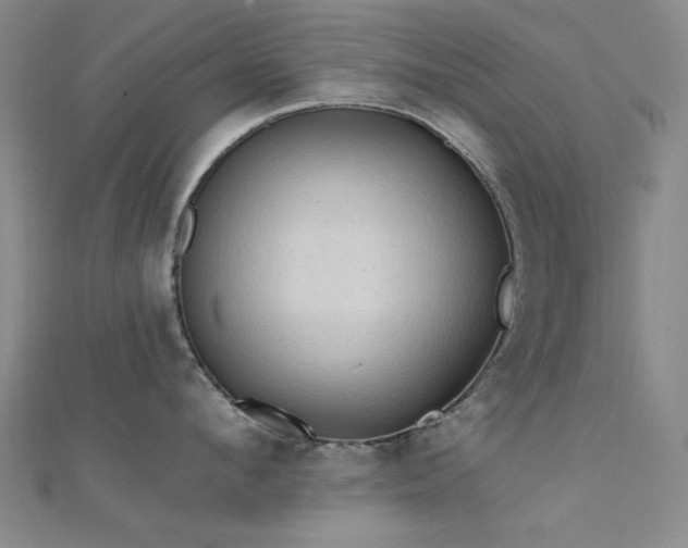 X0000112350912200908131426