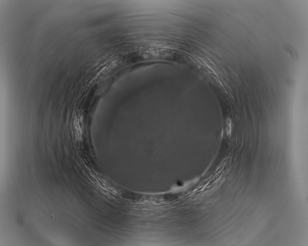X0000112350915200908131425