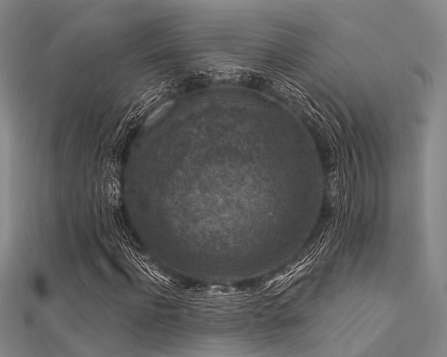 X0000112350916200908131425