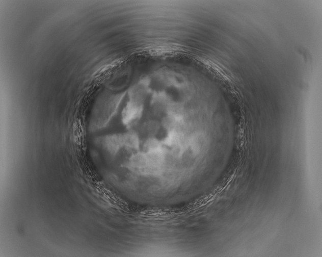 X0000112350917200908131425