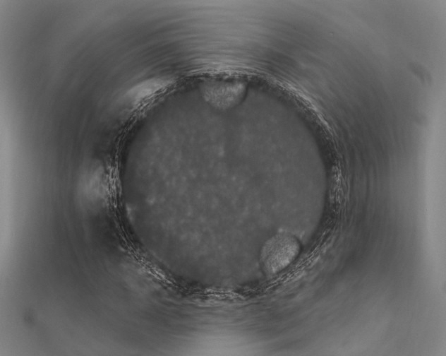X0000112350918200908131425
