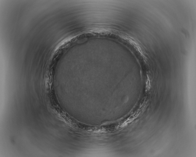 X0000112350920200908131425