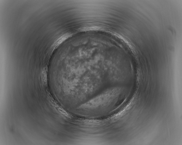 X0000112350921200908131425