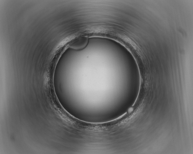 X0000112350922200908131425