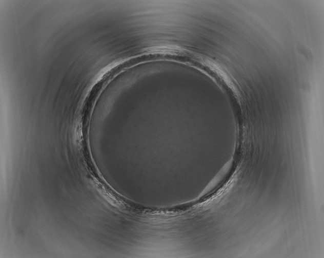 X0000112350923200908131425