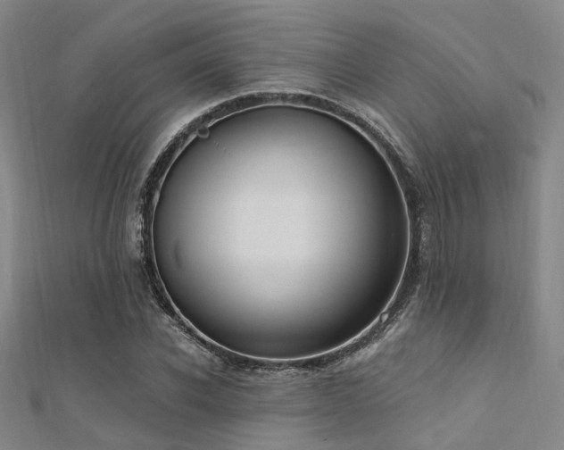 X0000112350926200908131425