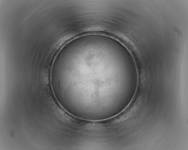 X0000112350929200908131425