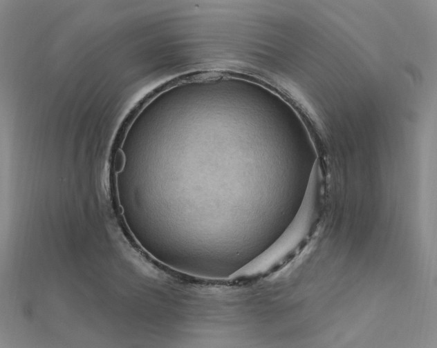 X0000112350932200908131425
