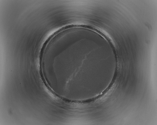 X0000112350935200908131425