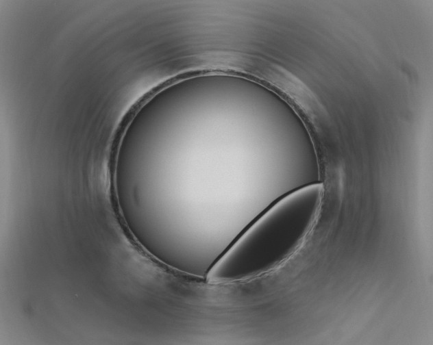 X0000112350936200908131425