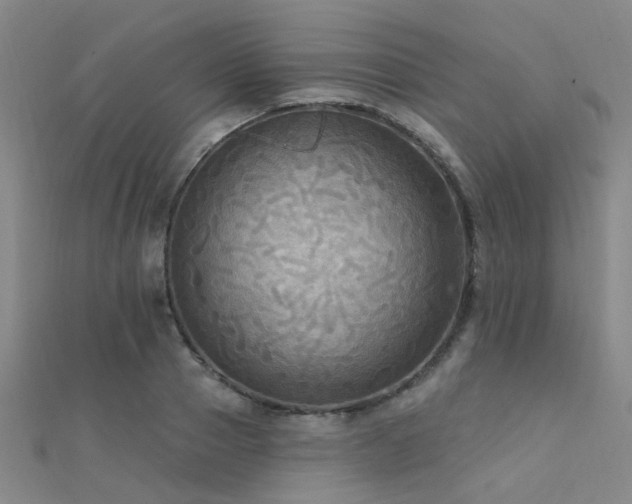 X0000112350937200908131425