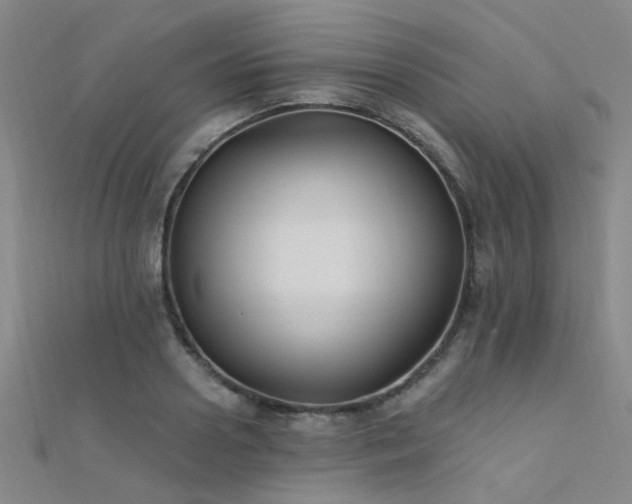 X0000112350938200908131425