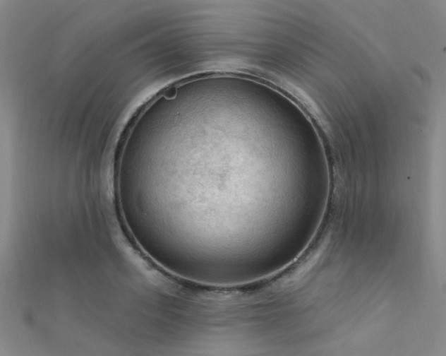 X0000112350939200908131425