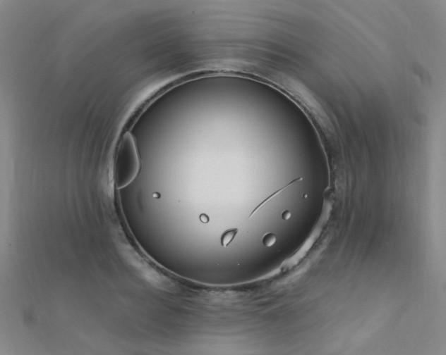 X0000112350940200908131425