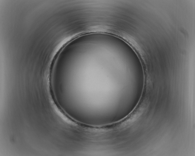 X0000112350941200908131425