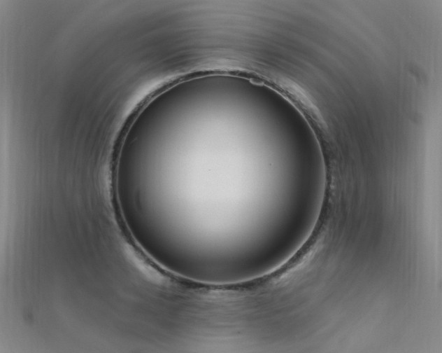 X0000112350942200908131425