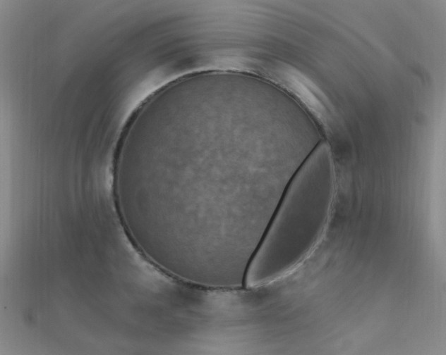 X0000112350944200908131425