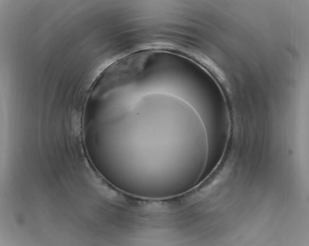 X0000112350945200908131425