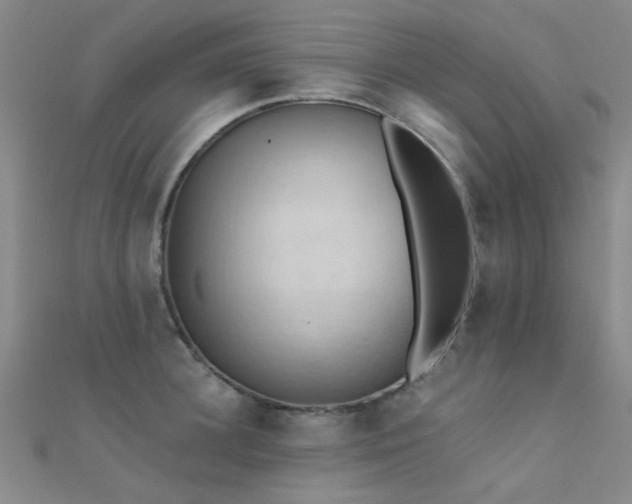 X0000112350948200908131425