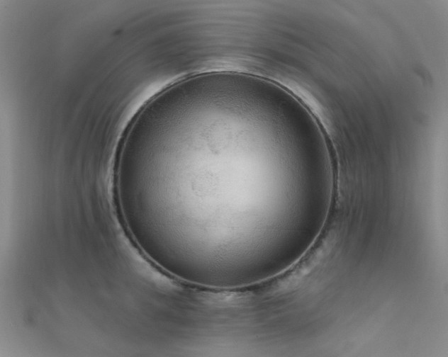 X0000112350949200908131425