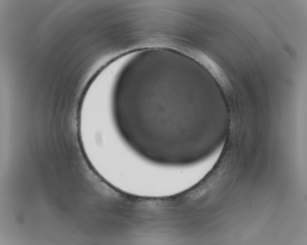 X0000112350950200908131425
