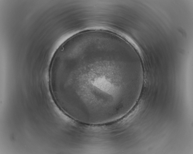 X0000112350951200908131425