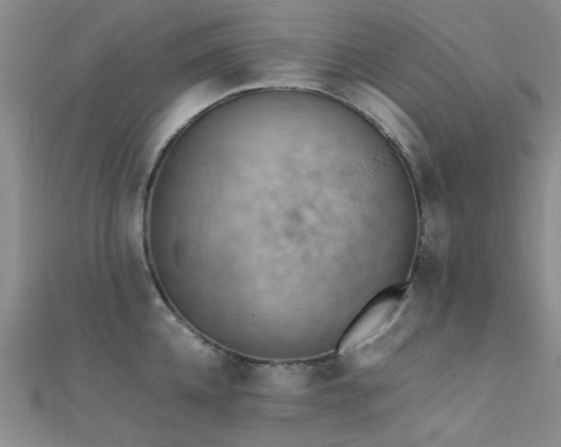 X0000112350952200908131425