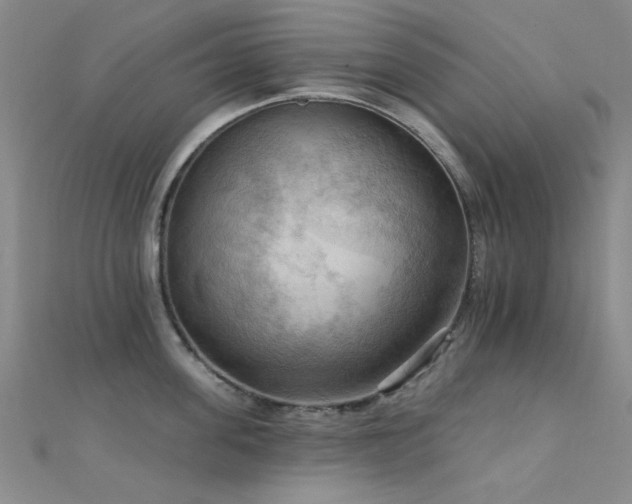 X0000112350955200908131425