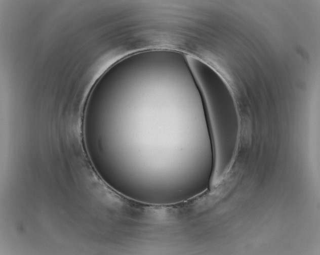 X0000112350956200908131425