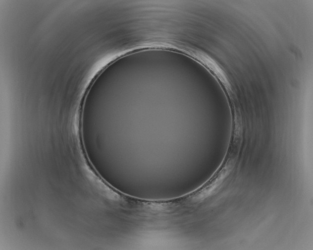 X0000112350958200908131426