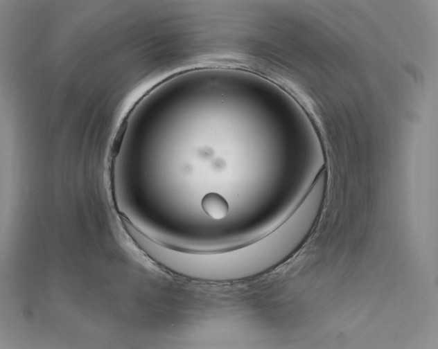 X0000112350960200908131426