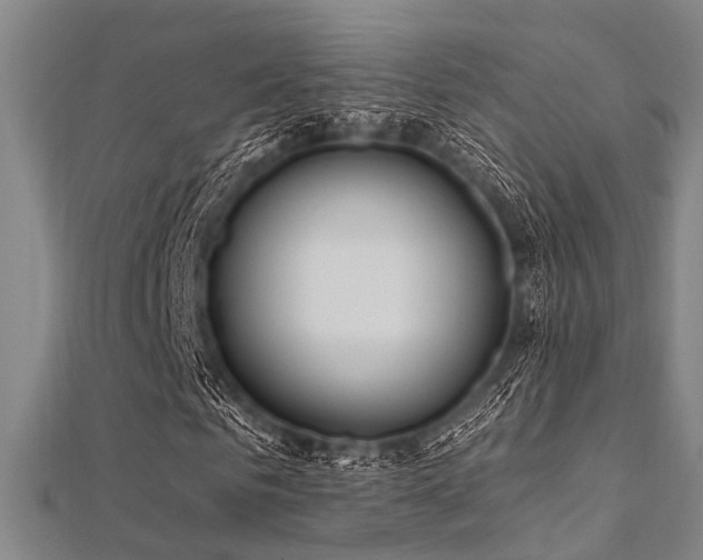 X0000112350961200908131425