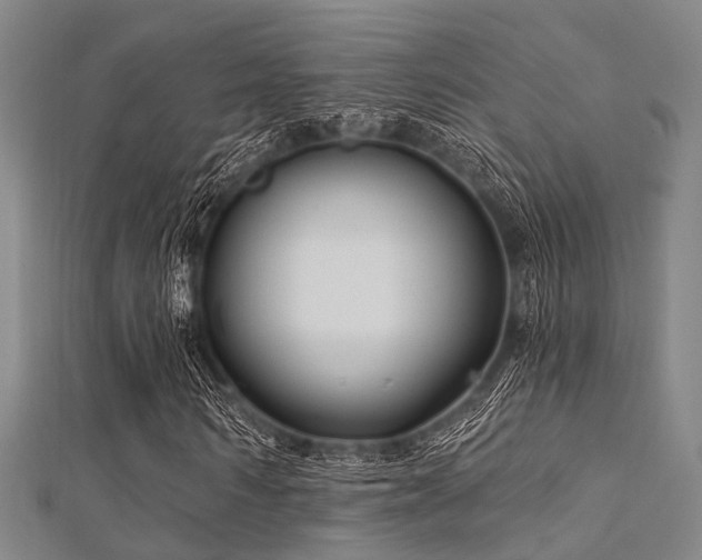 X0000112350962200908131425