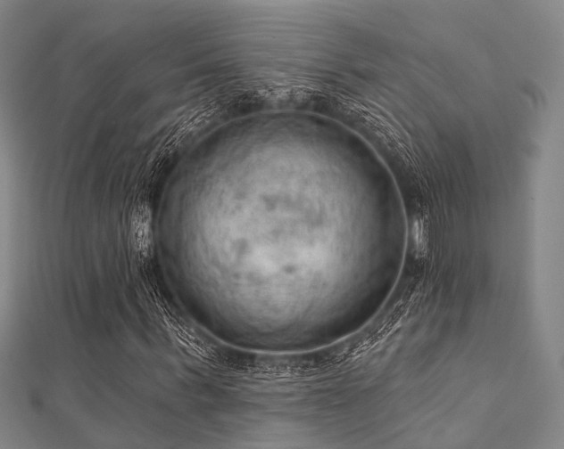 X0000112350963200908131425