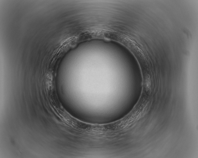 X0000112350964200908131425
