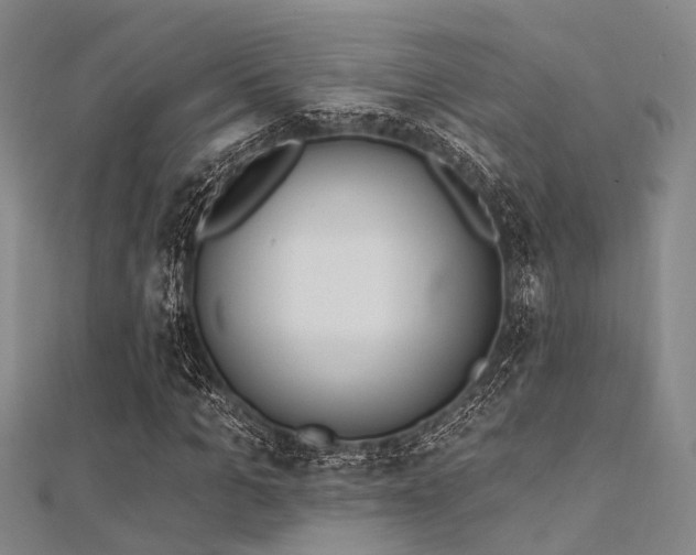 X0000112350965200908131425