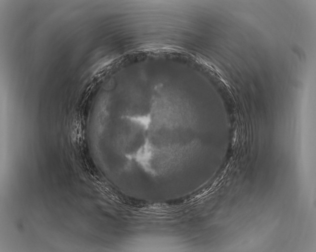X0000112350966200908131425