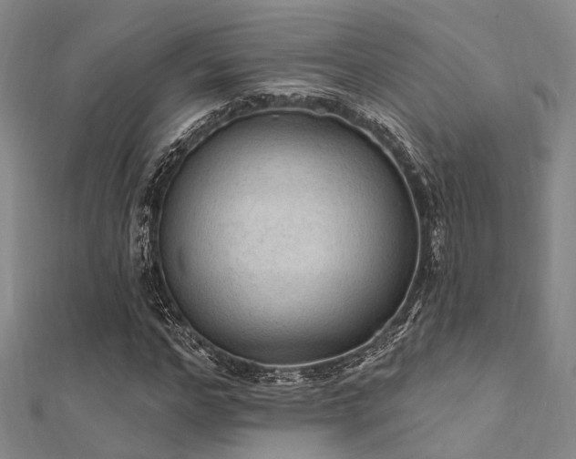 X0000112350968200908131425