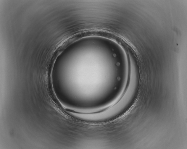 X0000112350969200908131425
