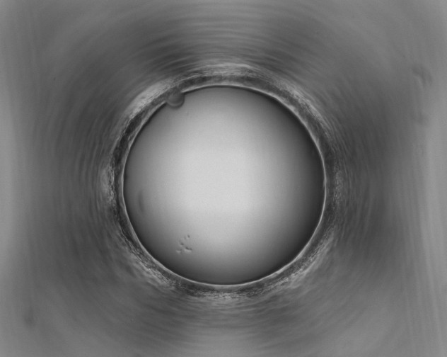 X0000112350970200908131425