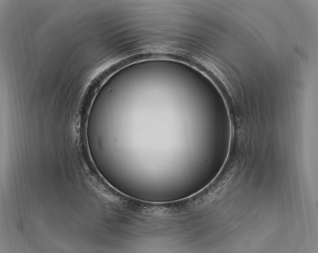 X0000112350971200908131425