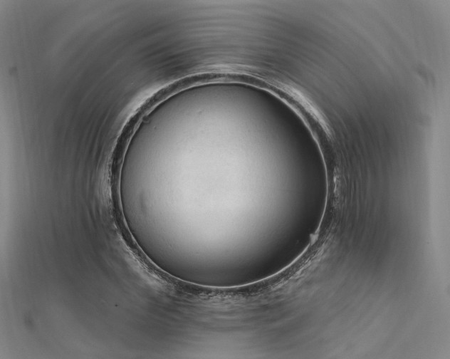 X0000112350972200908131425