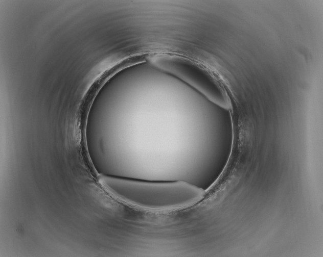 X0000112350973200908131425