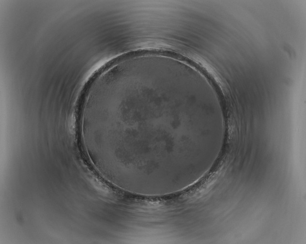 X0000112350975200908131425
