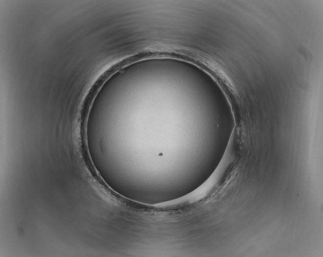 X0000112350976200908131425