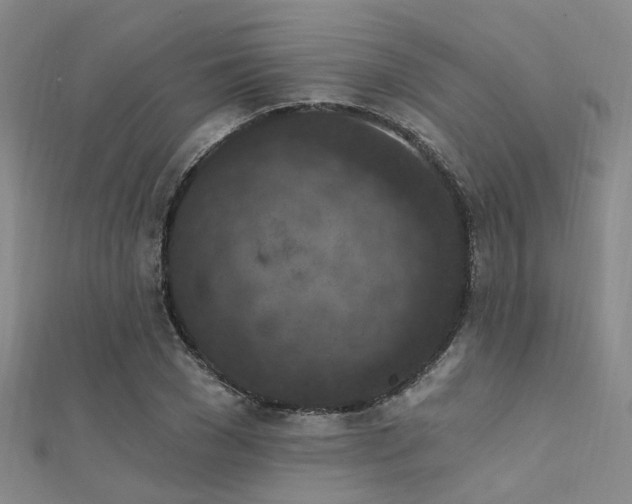 X0000112350977200908131425