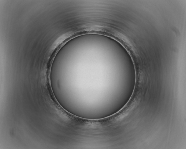 X0000112350978200908131425