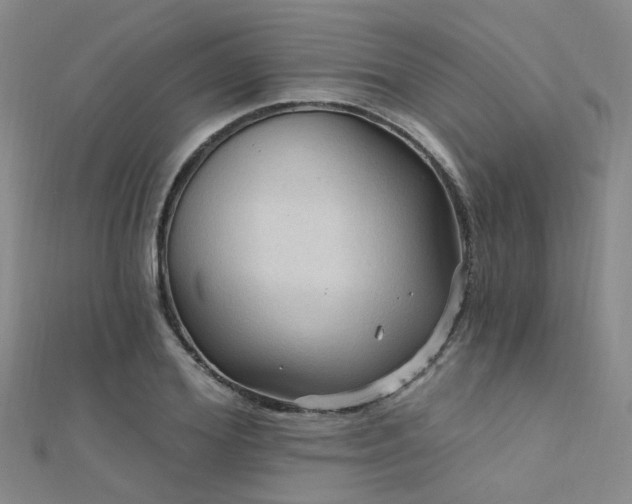 X0000112350980200908131425